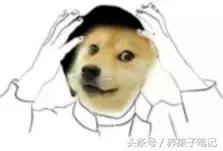 正品好太太燃气灶吸油烟机,樱花燃气灶油烟机质量怎么样