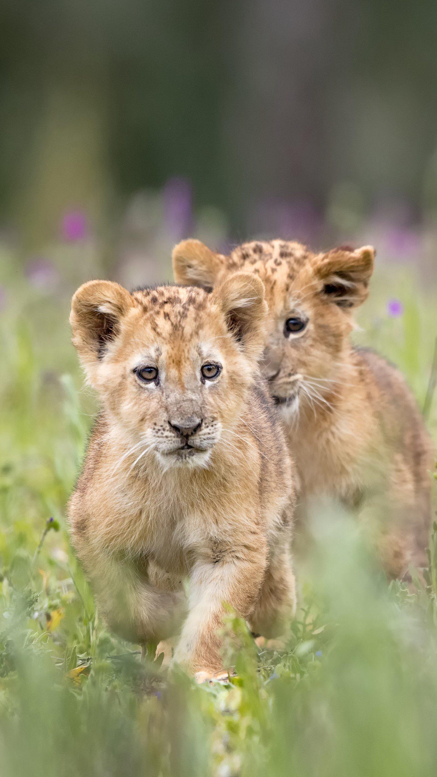 见过世面才明白眼前的可贵,见过世面才知道自己多渺小