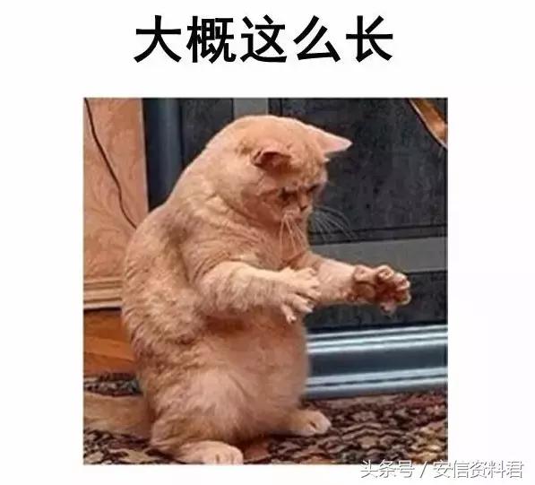 用电脑键盘恢复到桌面的快捷键,一般电脑键盘用什么快捷键