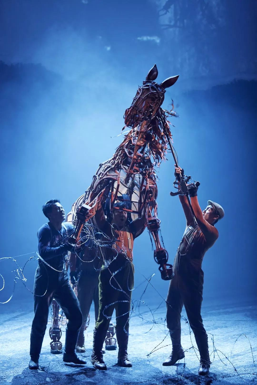 我采访了“马头”、“马前腿”和“马后腿”｜《战马》幕后