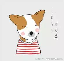 汪汪汪的狗叫声用英语怎么说,小狗汪汪叫动物英文