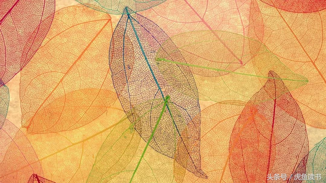 10.7书单推荐,近一周内的书单