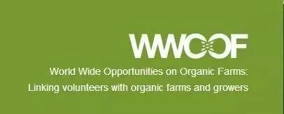 只要没出机场，看到这个牌子，千万别摸手机