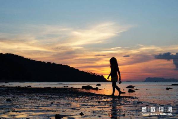 蓝莓评测美国蓝莓,蓝莓评测