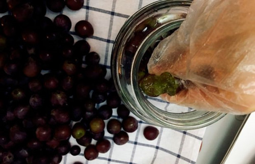 自制葡萄酒的正确方法,自制葡萄酒去甲醇最好方法