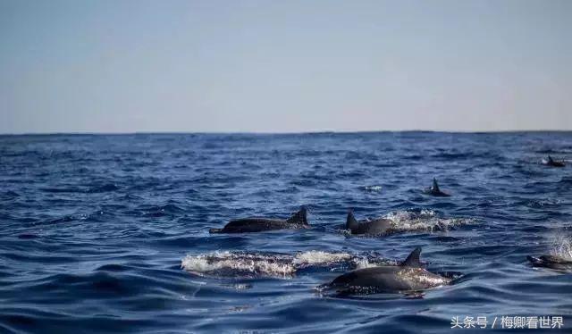 毛里求斯东西南北部哪个最好玩,毛里求斯攻略