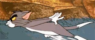 一直以为自己是跑得最快的那颗精子，原来并不是……