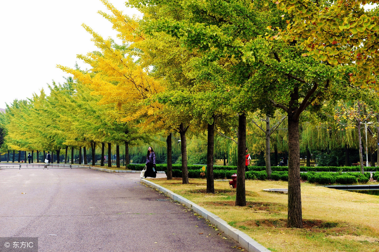 脸皮厚怎么快速解决,脸皮薄怎么办教你一招解决