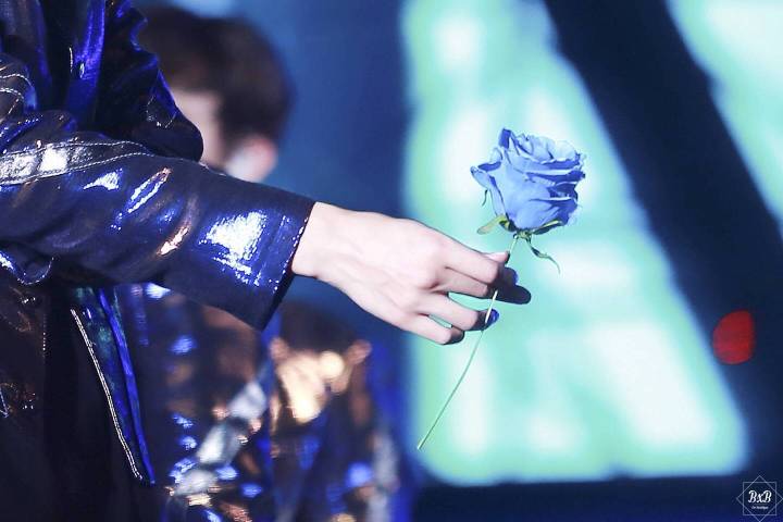 南韩爱豆出圈边伯贤,边伯贤南韩天生的爱豆