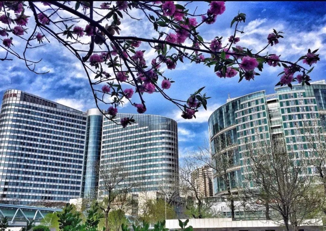 天津医科大学总医院看病好吗,天津医科大学总医院治疗什么最好