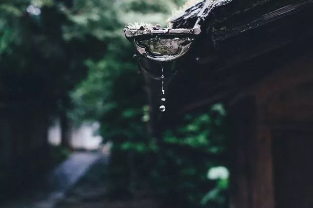 立秋暑去凉来一叶知秋,立秋暑气渐敛一叶知秋