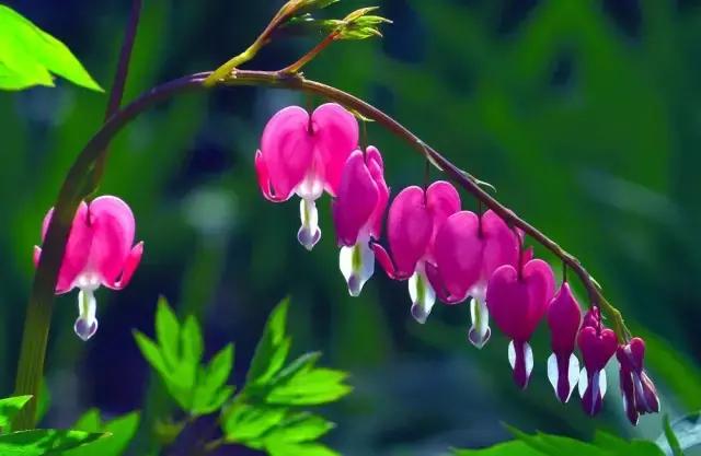 8.8发财日的祝福,8月18日发财日早安祝福图片