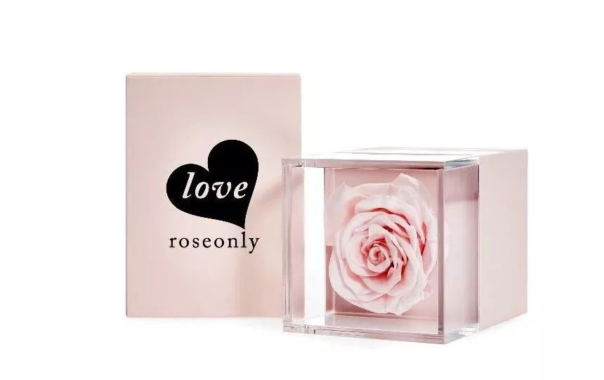 loveroseonly全新上市|我把花装进信封,寄给你