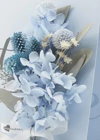 loveroseonly全新上市|我把花装进信封,寄给你