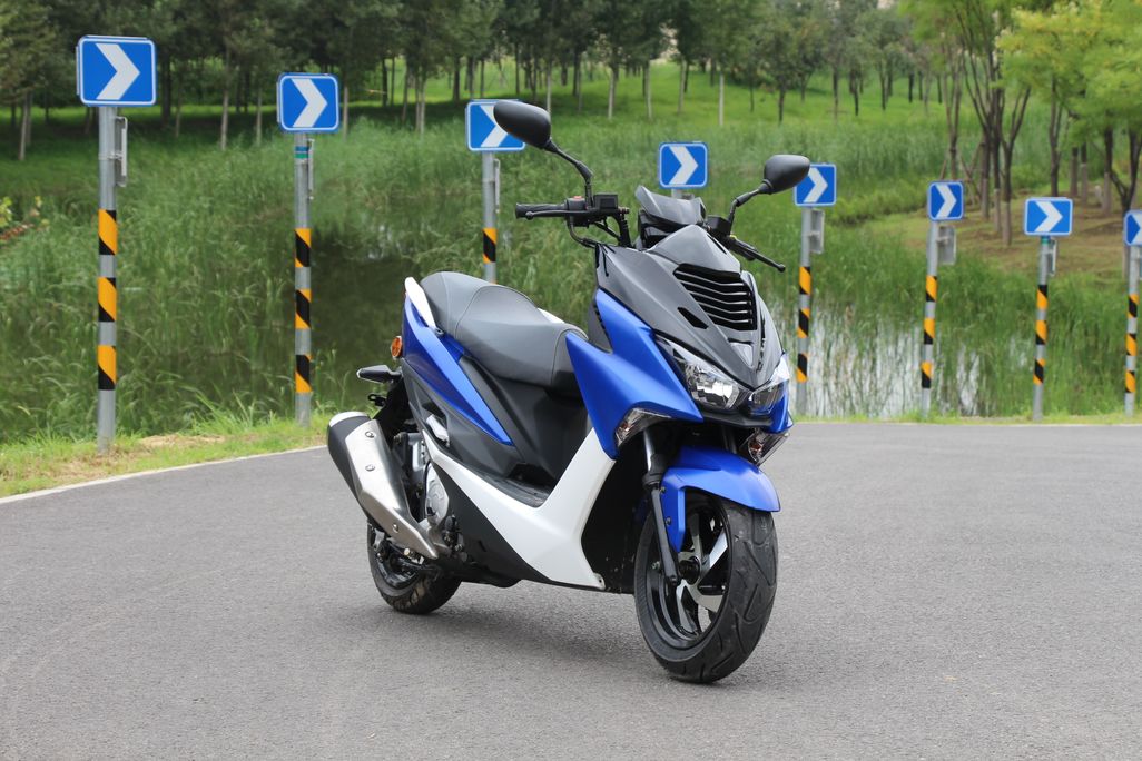 高颜值蚂蚱,漂亮巨型蚂蚱