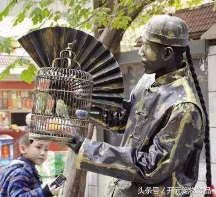 天津鸟笼文化丨北笼名家讲述鸟笼子的秘密