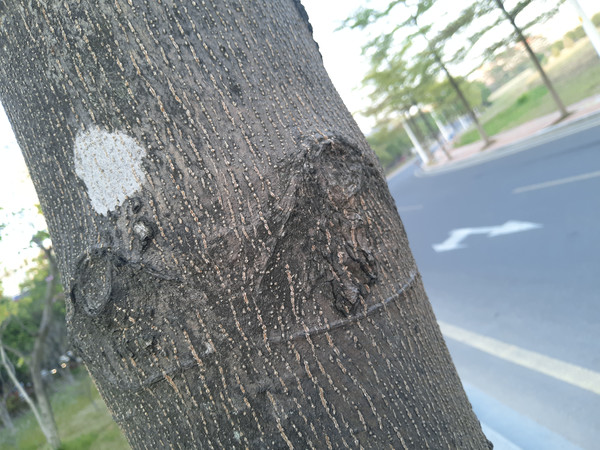 魅蓝s6全面屏测评,魅蓝6评测体验