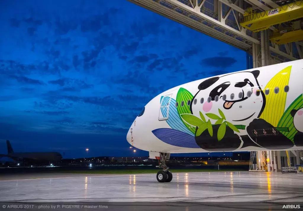 川航客机奇迹归来,川航第一架宽体客机