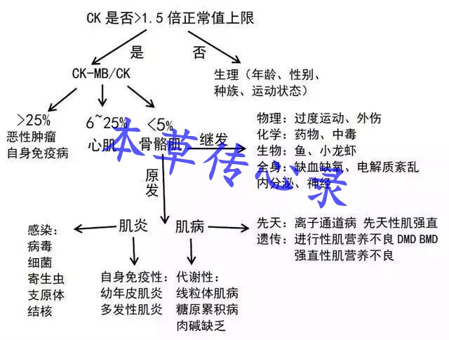 心肌损伤原因检查哪些指标,心脏彩超心肌酶谱正常能说明什么
