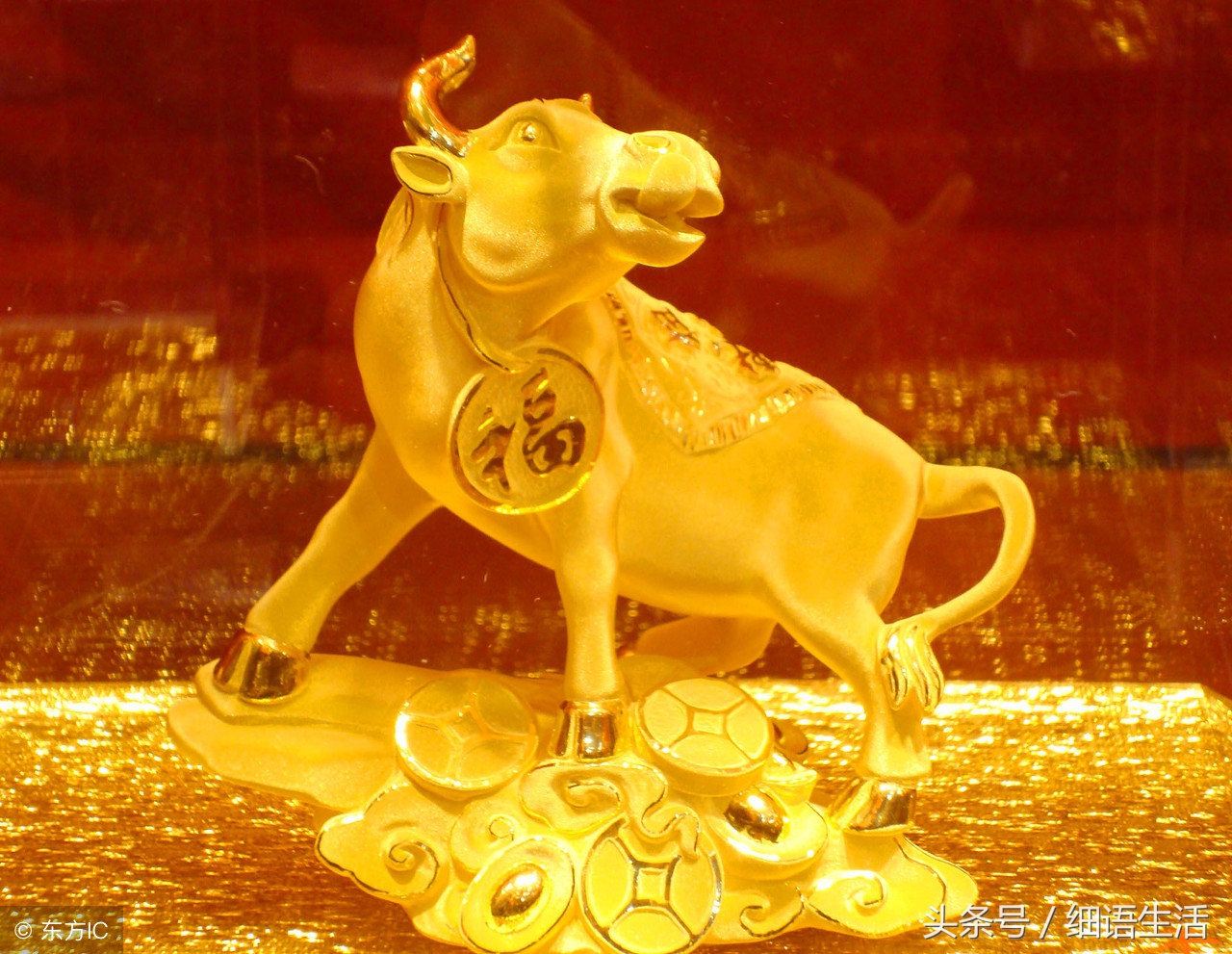 12生肖配对姻缘表属牛,属鸡和属牛生肖配对