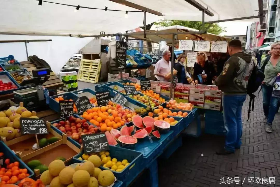 满城书香,如果”姿势“不够,你都不敢轻易来这座荷兰小城!