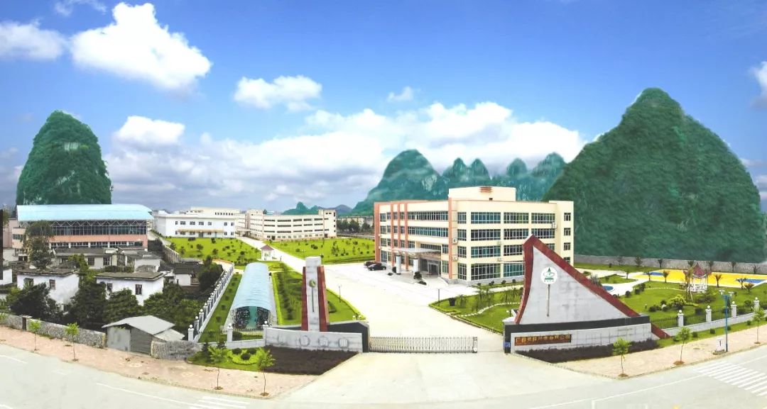 广西灵峰药业有限公司电话,广西灵峰药业有限公司怎么样