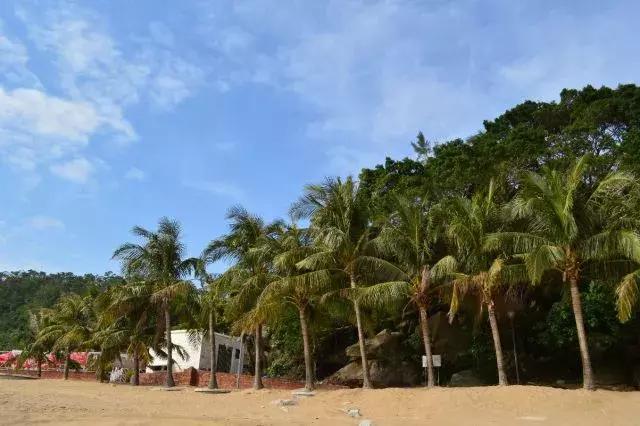 除了澳门还有哪里可以玩,澳门黑沙海滩位置在哪里