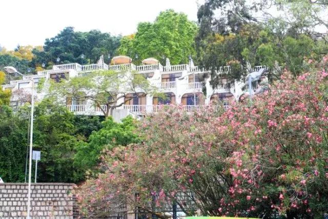 除了澳门还有哪里可以玩,澳门黑沙海滩位置在哪里