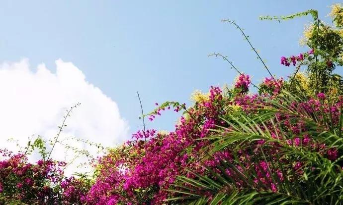 海南陵水香水湾海边别墅推荐,陵水适合亲子度假的别墅