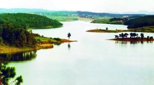 安徽被表扬的城市名单,安徽省政府通告最新