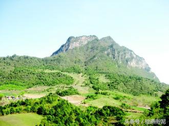 高利贷骚扰你，千万不要慌！