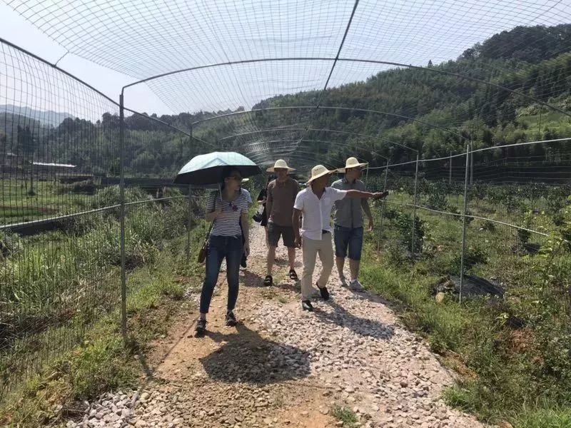 看过来！带你走一走将乐的这些返乡青年创业基地~｜新时代新作为新篇章