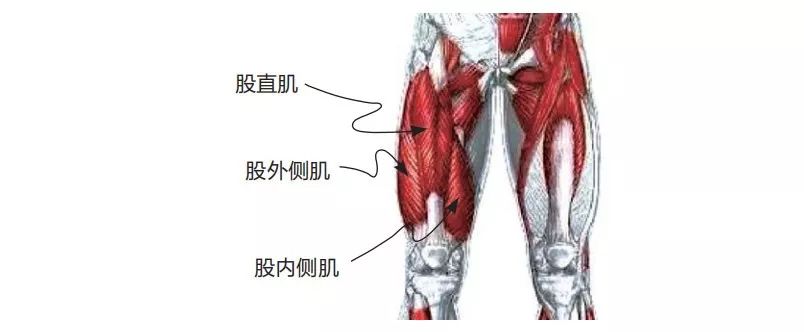 有没有能改善腿粗的动作,专治腿粗的几个方法