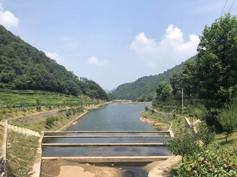 生态修坟，黄梅戏故乡的殡改有办法｜长江日记