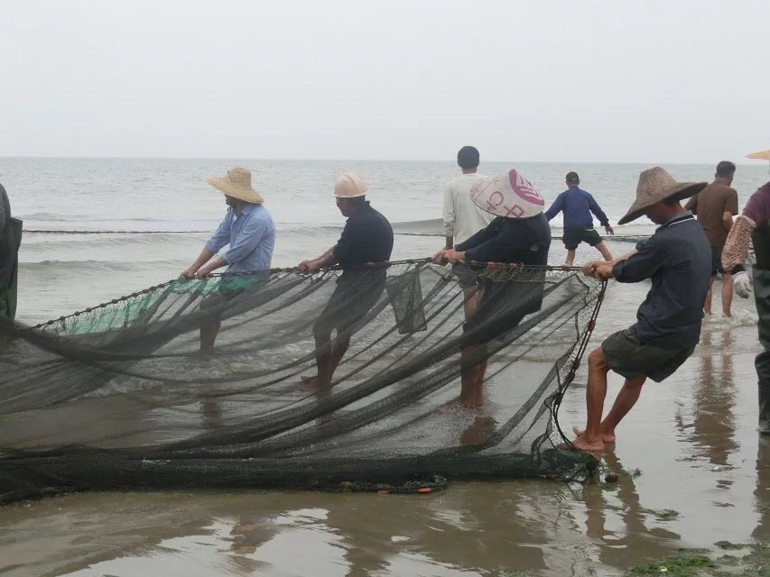 一大早10几个农名叔叔到海里去，收获满满，网友：齐心协力有鱼吃