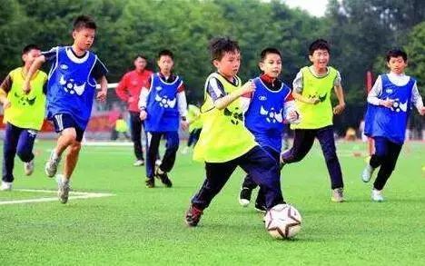 邢台学校特色教育有哪些,邢台优秀小学排行