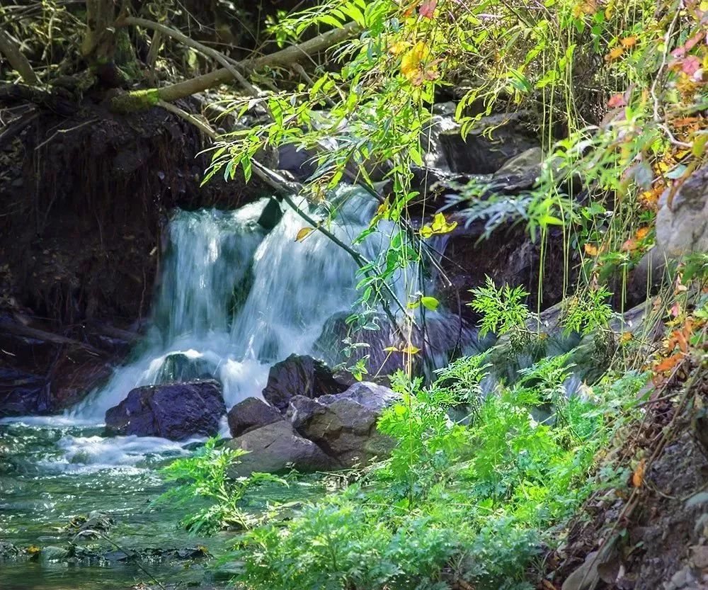 德阳周边玩水避暑民宿,德阳附近哪里有凉快又好玩的地方