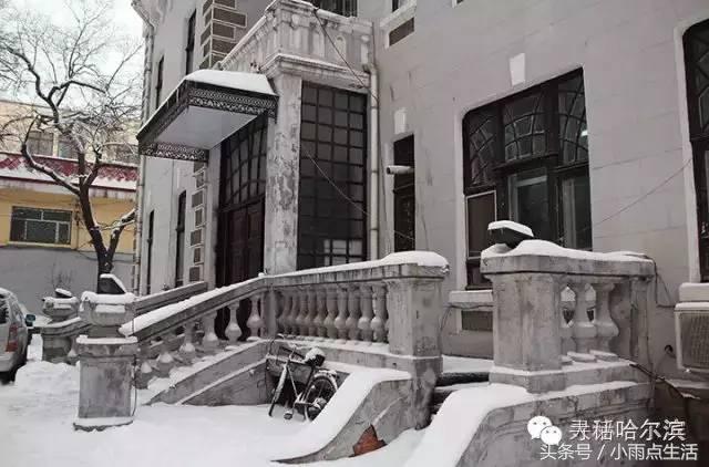 绾㈤湠骞煎効鍥搱灏旀花,鍝堝皵婊ㄧ孩闇炲辜鍎垮洯