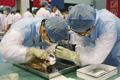 高考专业调剂了怎么办,高考调剂冷门信息