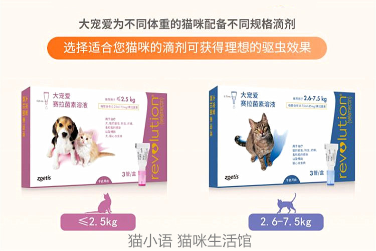 猫咪常用驱虫药及其功效
