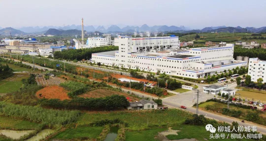 「探秘柳城」扒一扒这里是怎么由荒地变成“凤凰窝”……