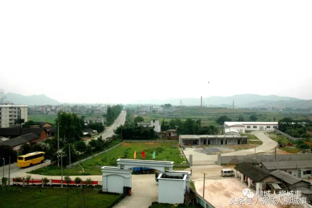 「探秘柳城」扒一扒这里是怎么由荒地变成“凤凰窝”……