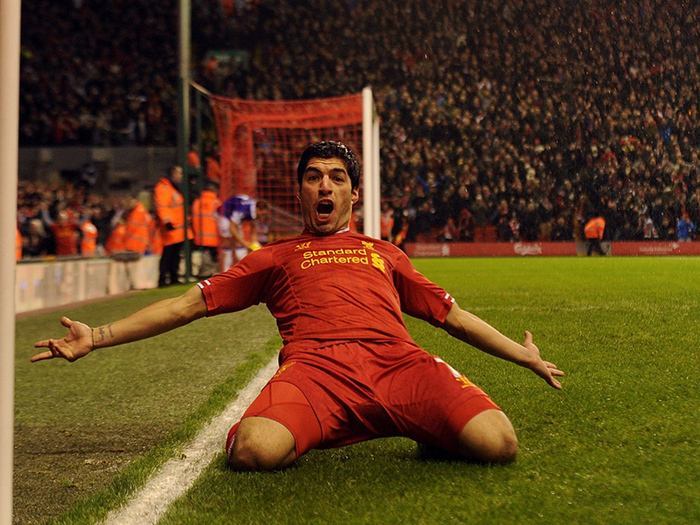 英超各队转会一览表最新,是福还是祸躲不过图片