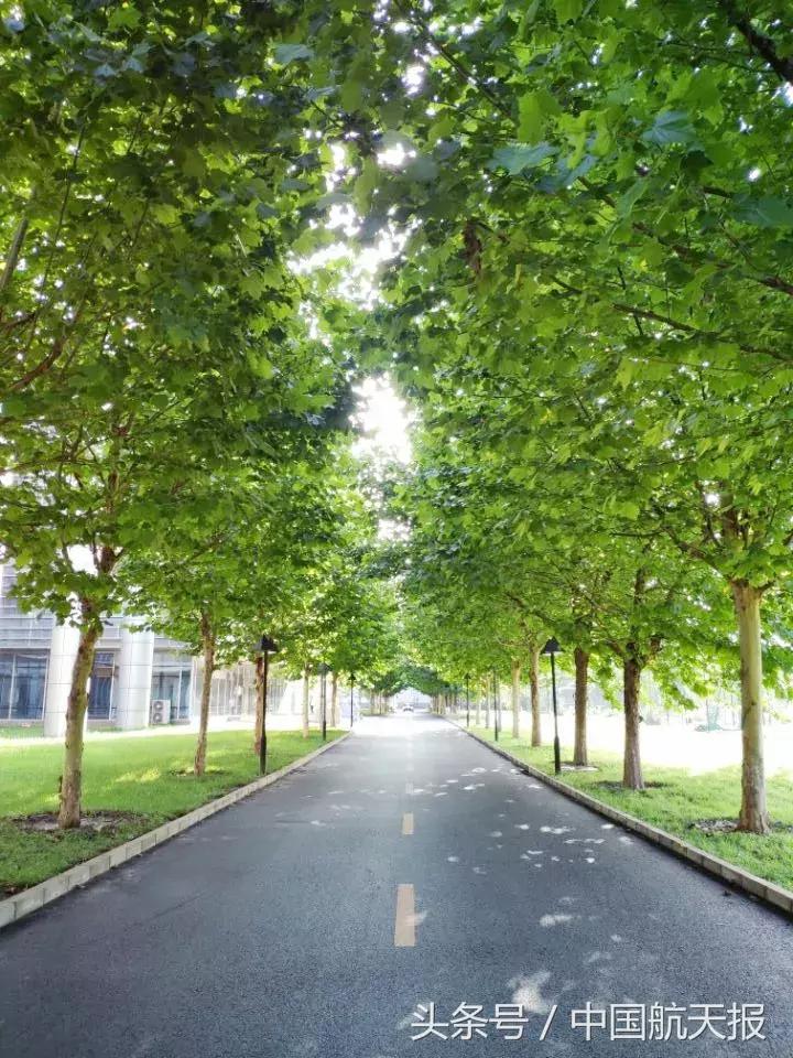 在航天集团上班,航天科技集团待遇