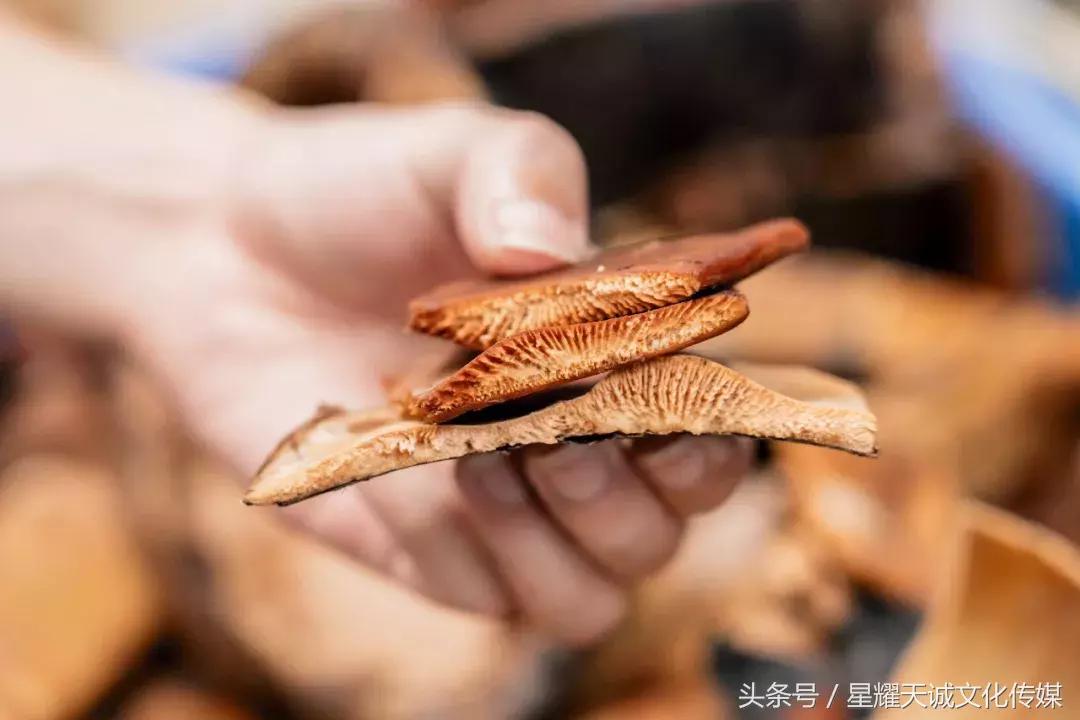 顺德正宗龟苓膏的做法视频,佛山正宗龟苓膏