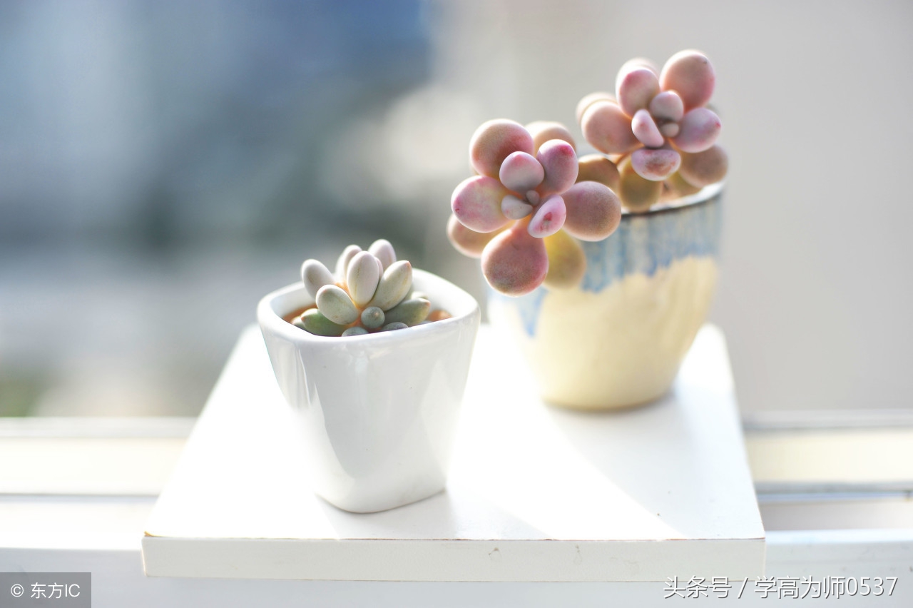 优秀的十篇作文400字,妈妈给我留下的印象最深作文400字