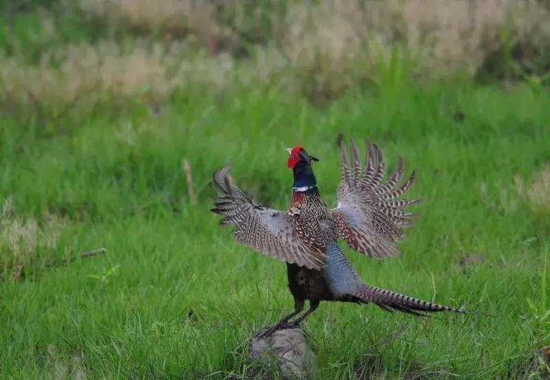端午游玩攻略儿童水世界,亲子游玩水世界