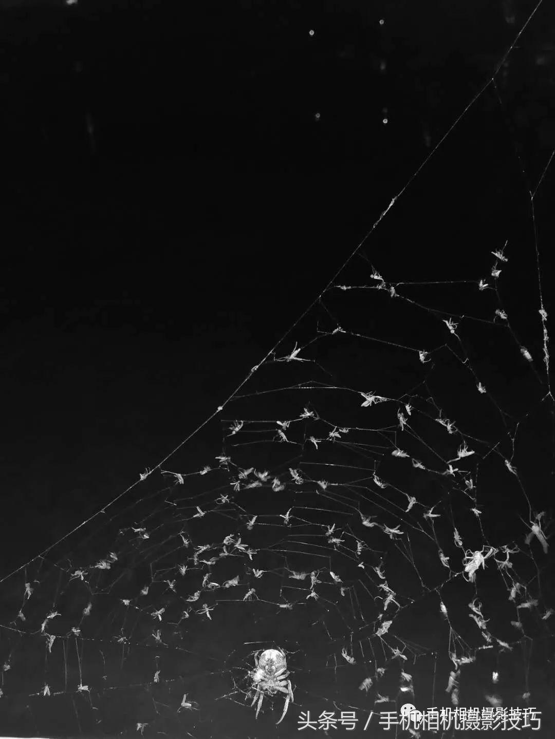 普通人如何拍有意思的视频,生活中可以拍哪些有趣的视频