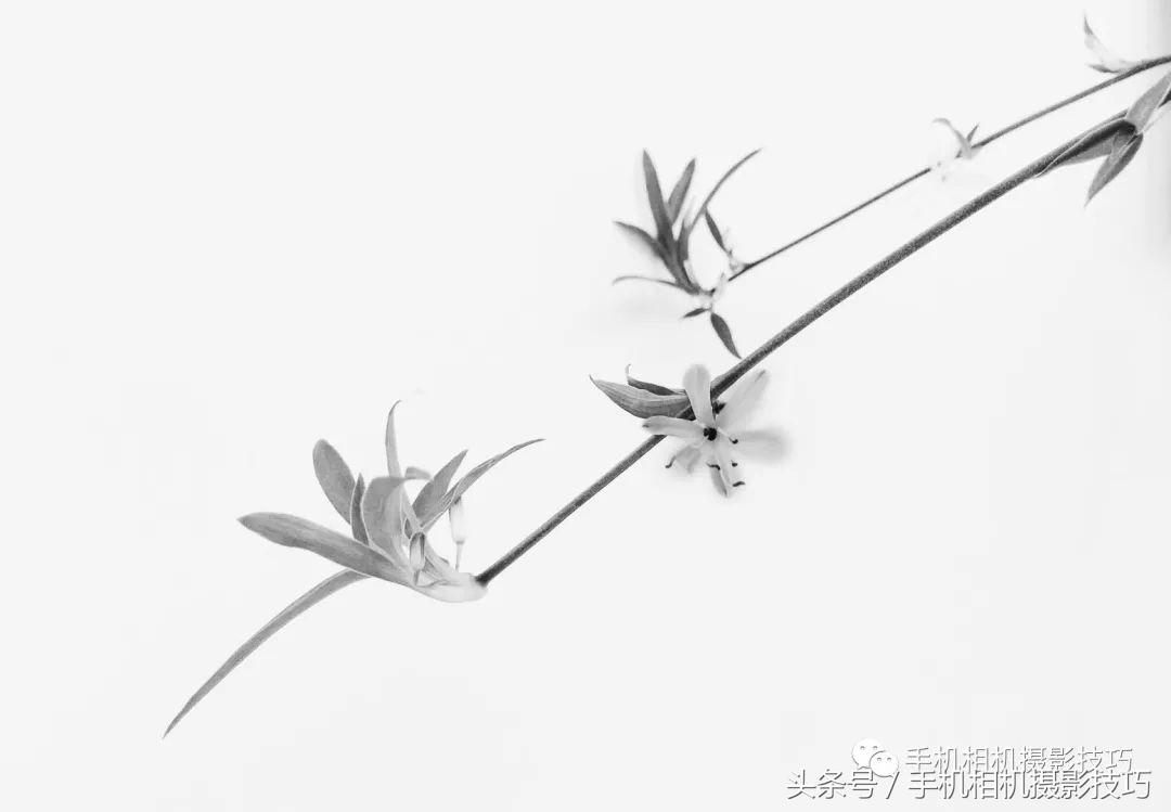 普通人如何拍有意思的视频,生活中可以拍哪些有趣的视频