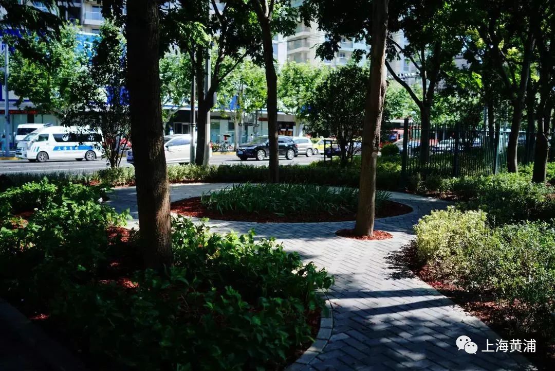 臭水浜变成了林荫道,《从臭水浜到林荫道》小学课文